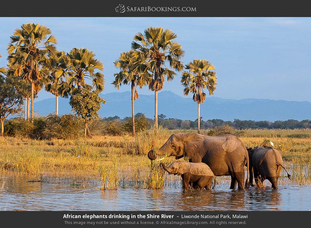 Wildlife Encounters & Lake Escape for Every Traveller